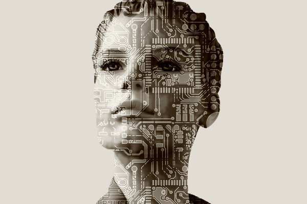 business bot