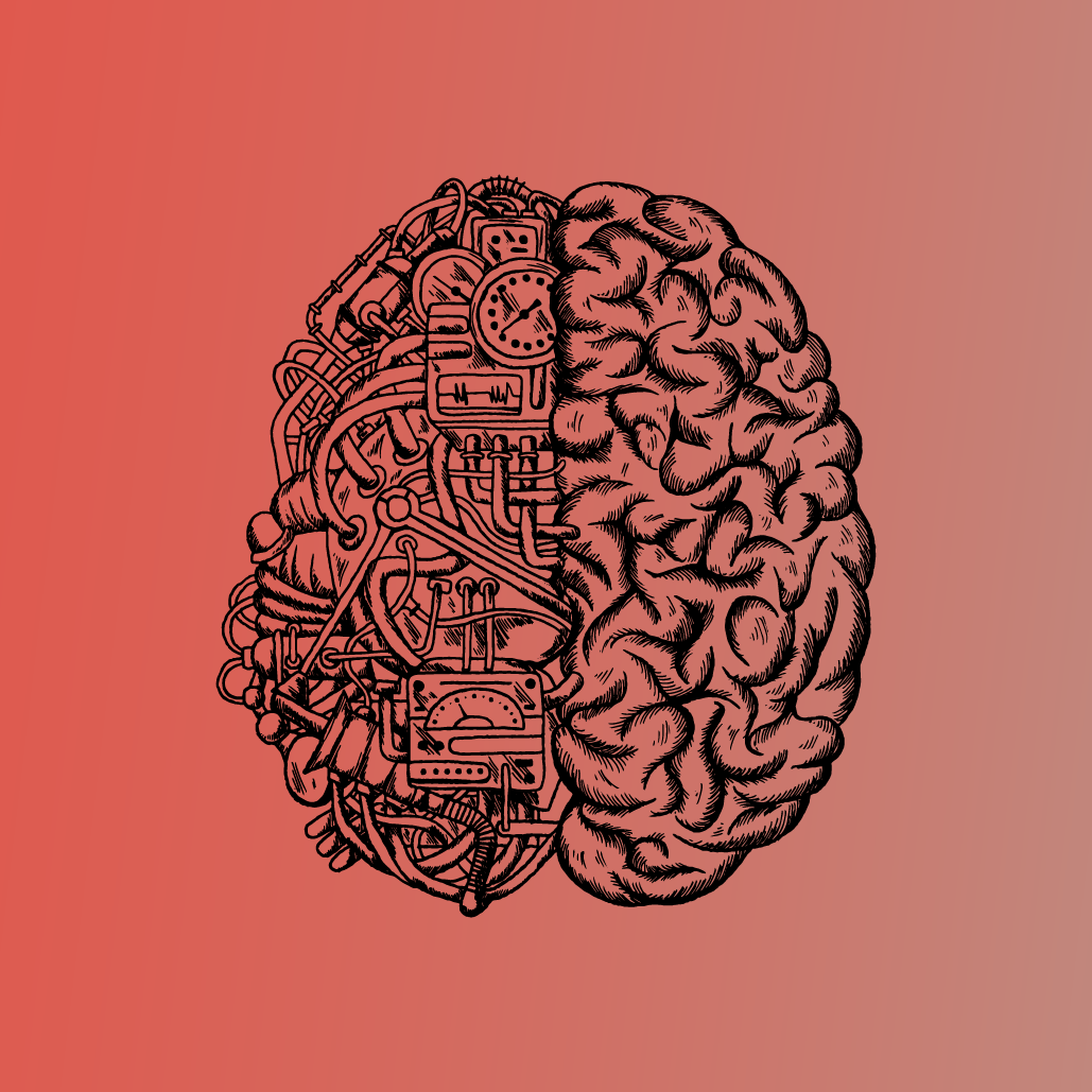 Is the Brain a Useful Model for Artificial Intelligence? | WIRED